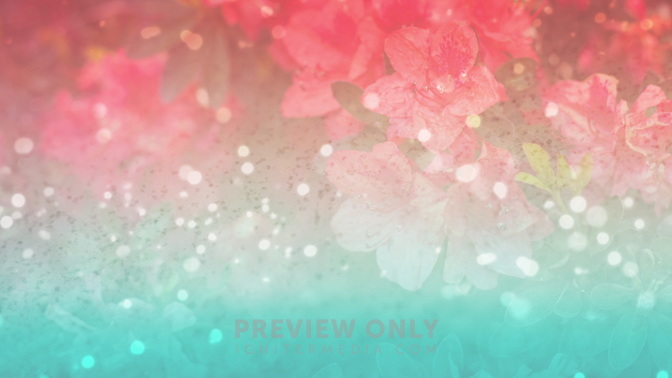 Pink_And_Blue_Flowers_HD.jpg