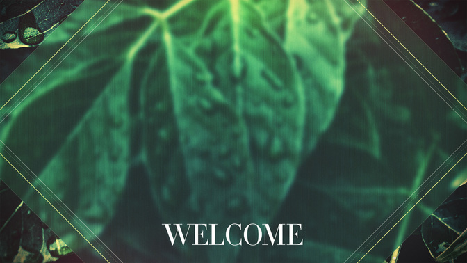 Spring_Dew-Welcome_WIDE-ALT-1#preset=tg_alt1.jpg