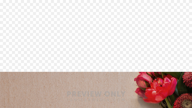 We-Love-You-Mom-Spanish-WIDE#preset=tg_transparent_png_preview.jpg
