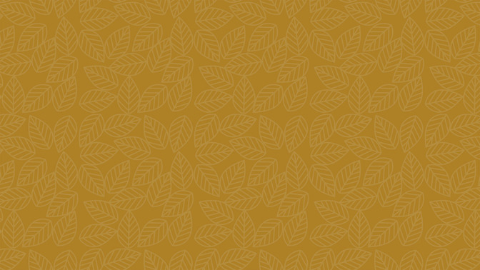 Fall_Leaves_-_Welcome_16x9-BACKGROUND#preset=tg_bg.jpg
