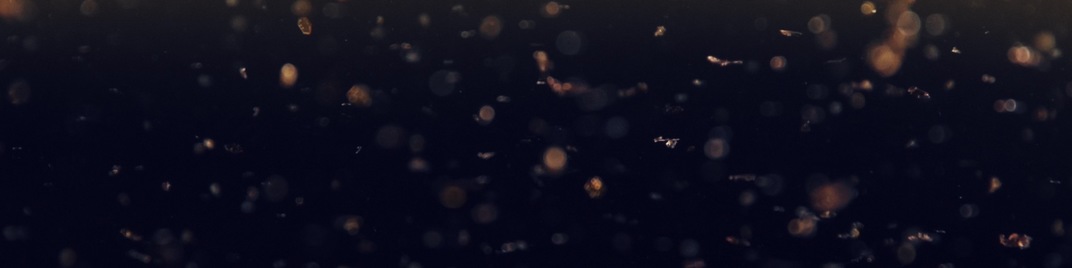 Glitter_UW_SD.jpg