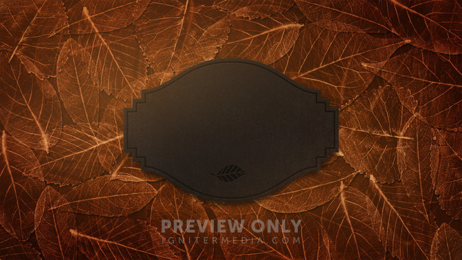 Fancy_Leaves_-_Welcome_16x9-TITLE-3#preset=tg_title3.jpg
