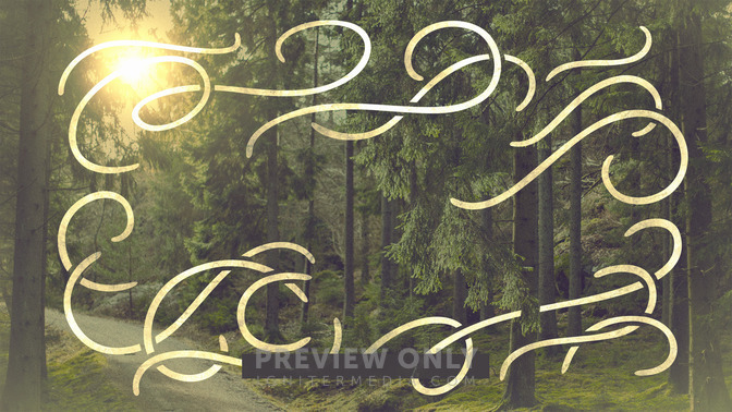 Summer_Camp_16x9-TITLE-3#preset=tg_title3.jpg