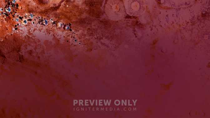 Offering-WIDE#preset=tg_alt2.jpg