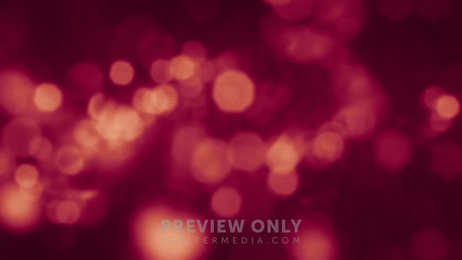 Bush_Bokeh_Pink_HD.jpg
