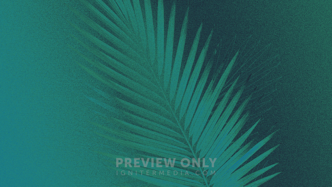 Gradient_2_Easter Gradient_Gradient_Green_2_HD.jpg