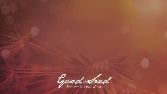Good_Seed_16x9-CONTENT-1#preset=tg_alt1.jpg