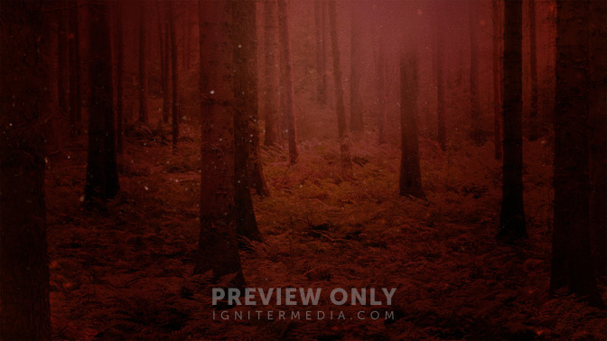 Fall_Twilight_-_Welcome_16x9-BACKGROUND#preset=tg_bg.jpg