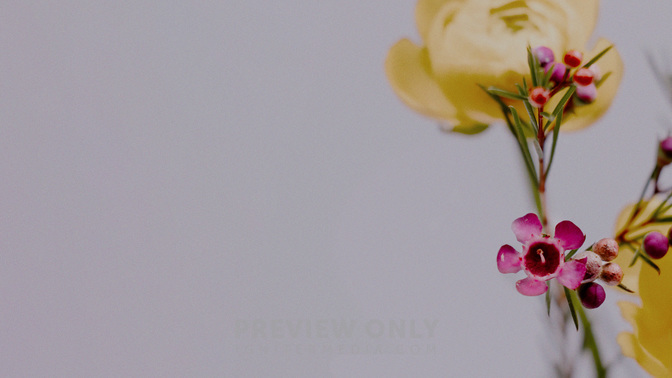 Floral_Details_Floral_Details_TT3_Welcome_WIDE#preset=tg_title3.jpg