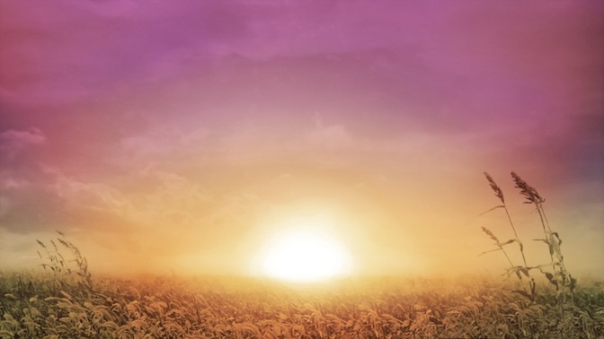 Sunrise_Wheat_16x9.jpg
