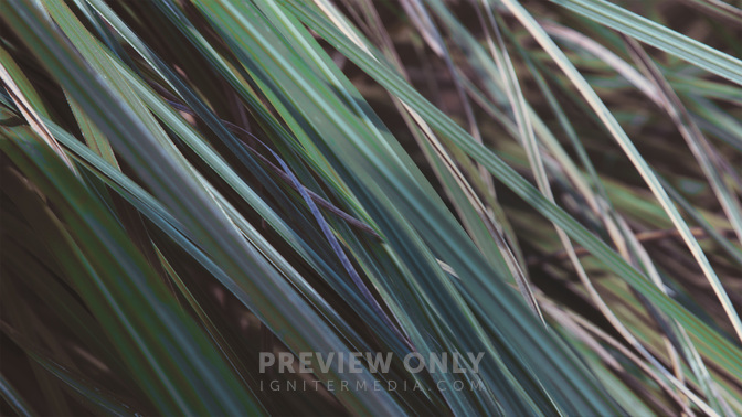 Events-WIDE#preset=tg_title3.jpg