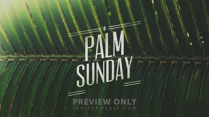 Macro_Easter_-_Palm_Sunday_16x9-TITLE-2#preset=tg_title2.jpg