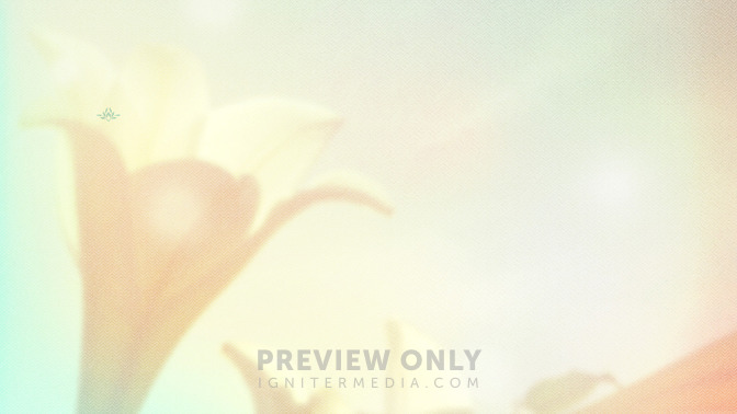 Lilies_-_Welcome_To_Church_16x9-CONTENT-3#preset=tg_alt3.jpg