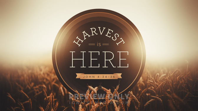 harvest is here
