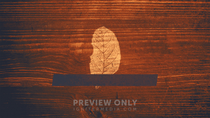 Wood_Leaves-Welcome_WIDE-TITLE-3#preset=tg_title3.jpg