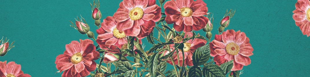 Mothers_Day_Flowers_2_UW_SD.jpg