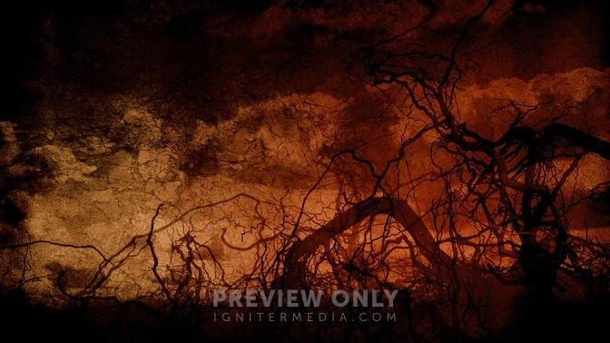 Roots_Dark_Red_16x9.jpg