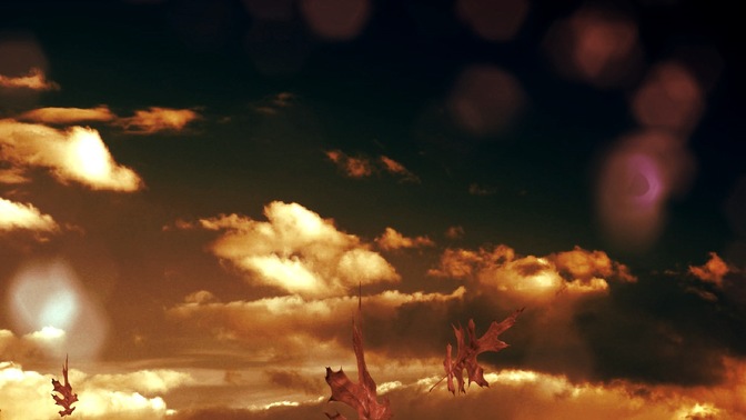 clouds and leaves