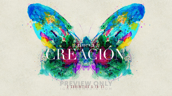 nueva creación
