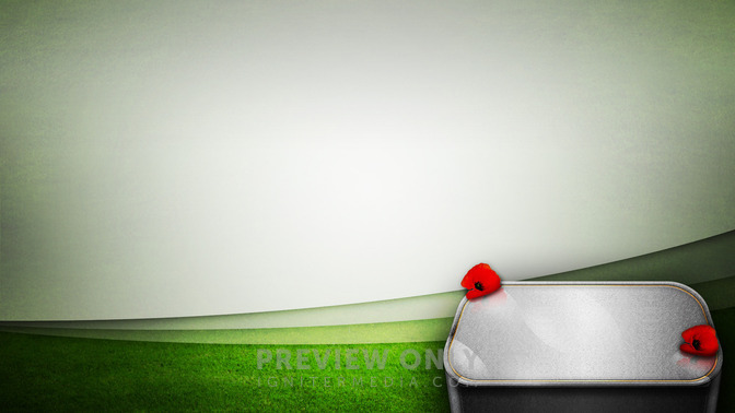 Remembrance_Day_16x9-CONTENT-3#preset=tg_alt3.jpg