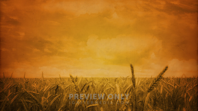 God_Provides_16x9-BACKGROUND#preset=tg_bg.jpg