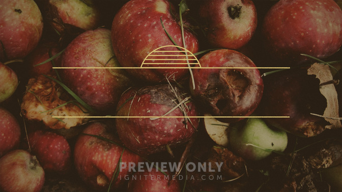 Rotten_Fruit_16x9-TITLE-3#preset=tg_title3.jpg