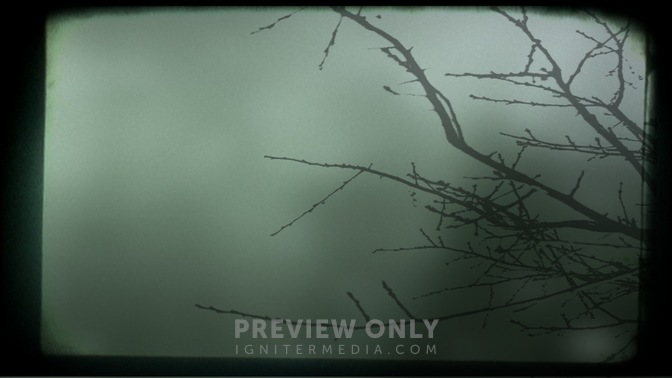 Branch_1_16x9.jpg