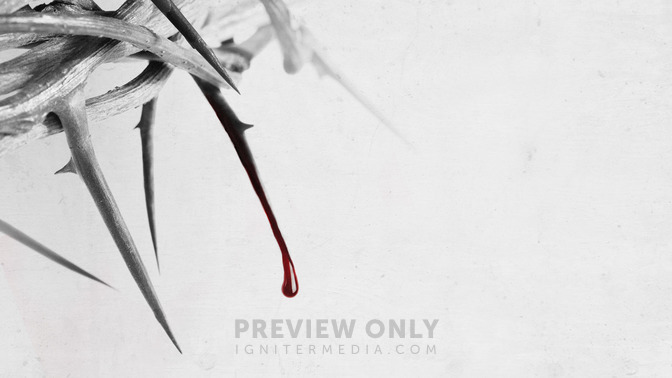 By_His_Own_Blood_16x9-TITLE-3#preset=tg_title3.jpg