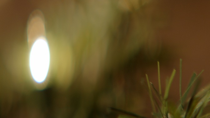 garland lights - 1
