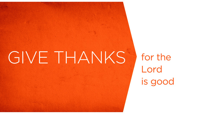 orange harvest - give thanks