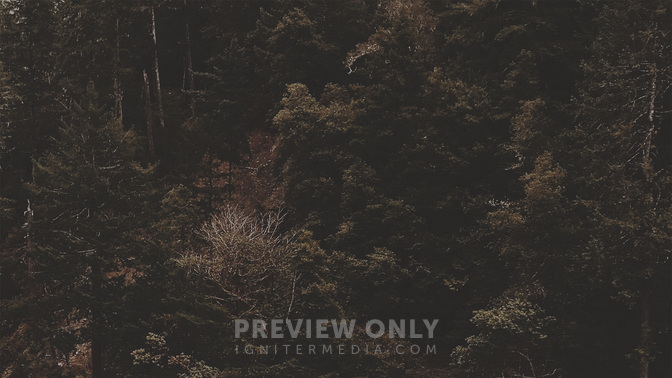 My_Peace_I_Give_To_You_WIDE-BACKGROUND#preset=tg_bg.jpg