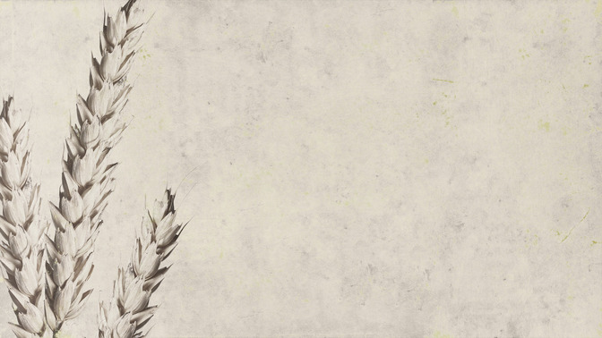 When_a_Grain_of_Wheat_Falls_16x9-BACKGROUND#preset=tg_bg.jpg