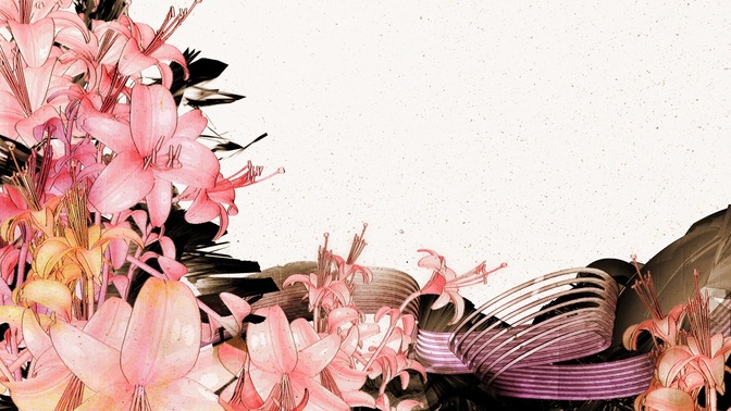 Traced_Flowers2_16x9.jpg
