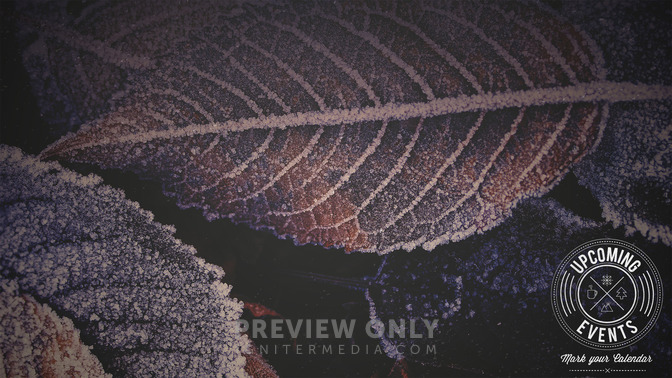 Winter_Woods_-_Upcoming_Events_16x9-CONTENT-1#preset=tg_alt1.jpg