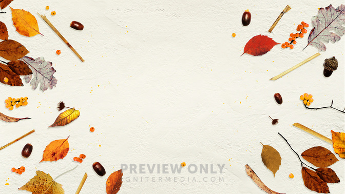 Fall_Festival_WIDE-TITLE-3#preset=tg_title3.jpg