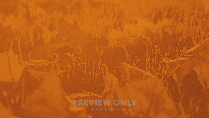 Hello_Everyone_WIDE-BACKGROUND#preset=tg_bg.jpg