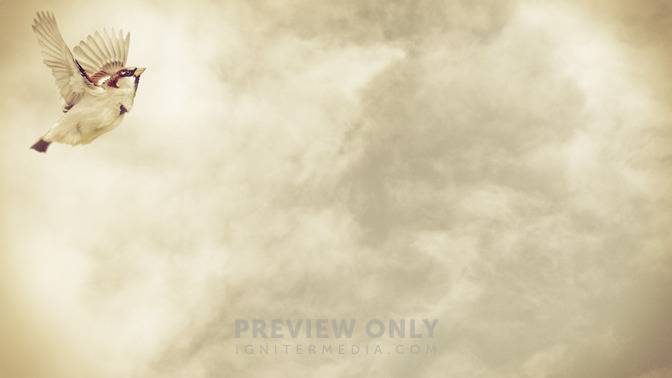 His_Eye_Is_On_The_Sparrow_16x9-BACKGROUND#preset=tg_bg.jpg