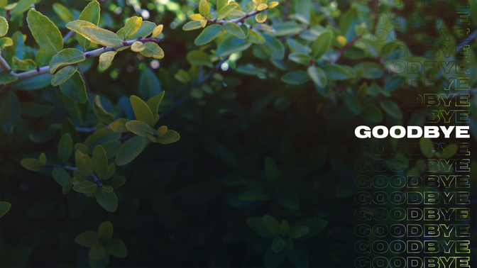 Goodbye-WIDE#preset=tg_alt1.jpg