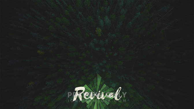Revival_WIDE-CONTENT-2#preset=tg_alt2.jpg