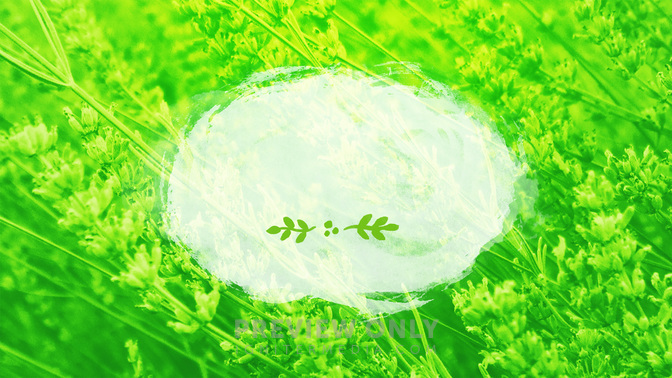 Flower_Fields-Welcome_WIDE-TITLE-3#preset=tg_title3.jpg