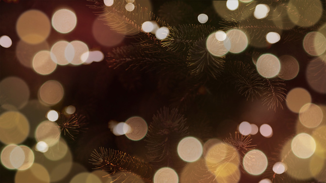 What's Your Focus_TT3_Events_WIDE#preset=tg_title3.jpg