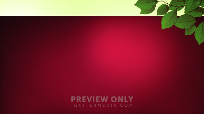 See_You_Next_Week_-_Spring_Leaves_16x9-BACKGROUND#preset=tg_bg.jpg