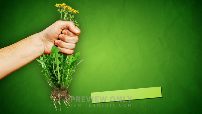 Pulling_Weeds_16x9-TITLE-3#preset=tg_title3.jpg