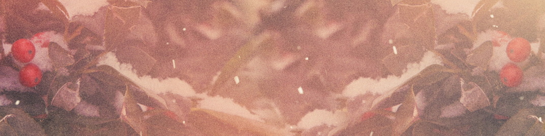 Scenic_Christmas_Holly_MS_1920x480.jpg