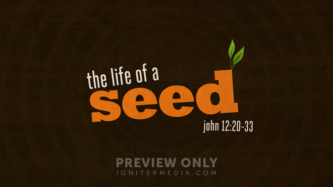 life of a seed
