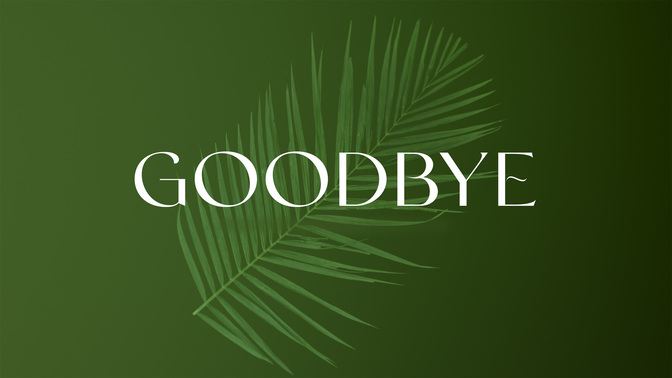 PalmGoodbye-WIDE#preset=tg_title2.jpg