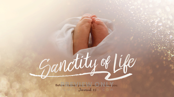Sanctityoflife-WIDE#preset=tg_title1.jpg