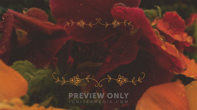 Abundant_Life_16x9-TITLE-3#preset=tg_title3.jpg