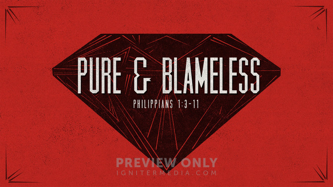 red illustrations - pure & blameless