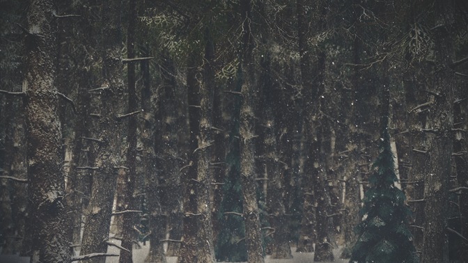 winter wonderland 2